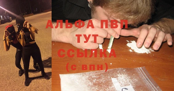 крисы Алзамай