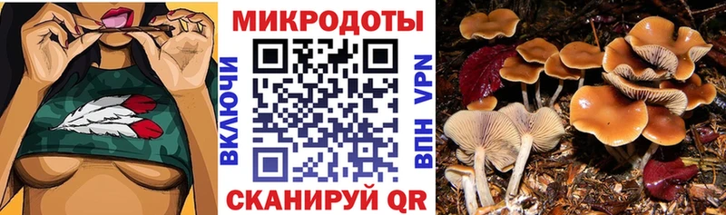 Галлюциногенные грибы мицелий  Санкт-Петербург 